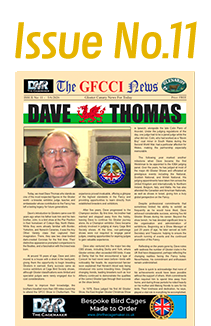 GFCCI News Tmb11