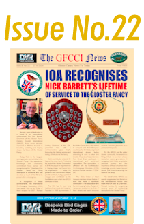 GFCCI News Tmb22