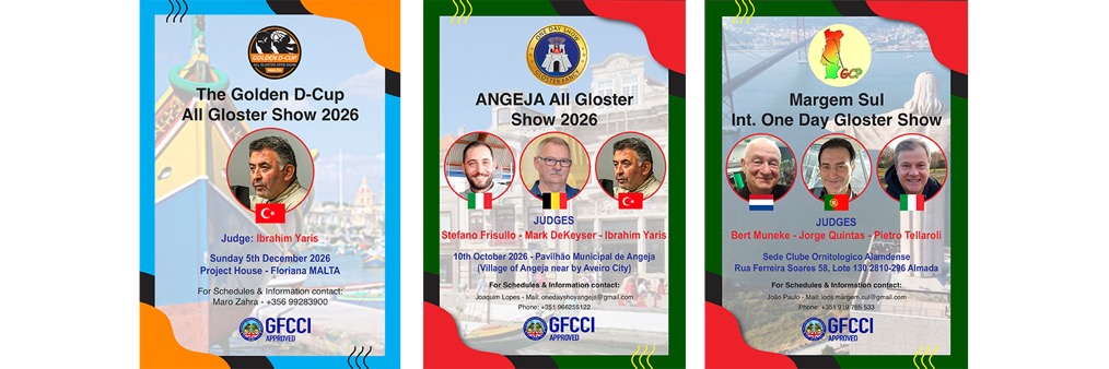 GFCCI Approved All Gloster Shows 2